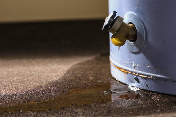 Best Local water damage restoration  in Warren, PA