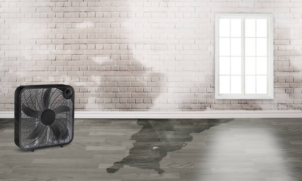 Best Flood restoration services  in Warren, PA