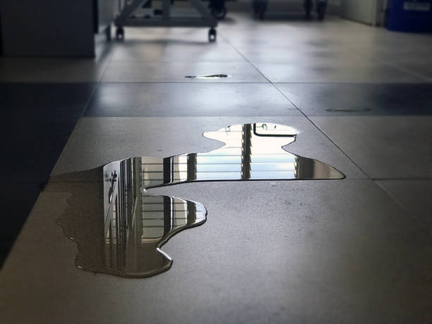 Best Commercial water damage restoration  in Warren, PA