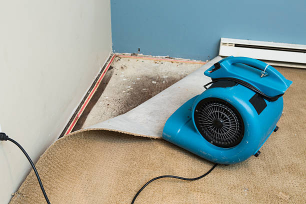 Best Ceiling water damage repair  in Warren, PA